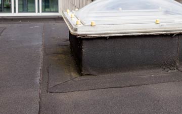 disadvantages of Wray Common flat roofs
