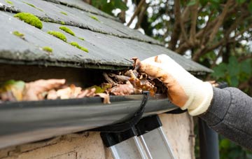 gutter cleaning Wray Common, Surrey