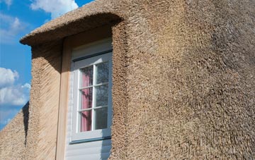 Wray Common thatch roof disadvantages